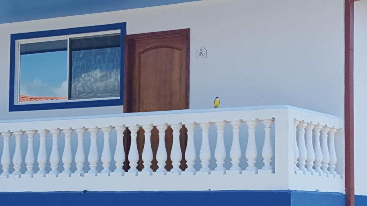 Hotel Grosseto Palma Real Loma Buitenkant foto